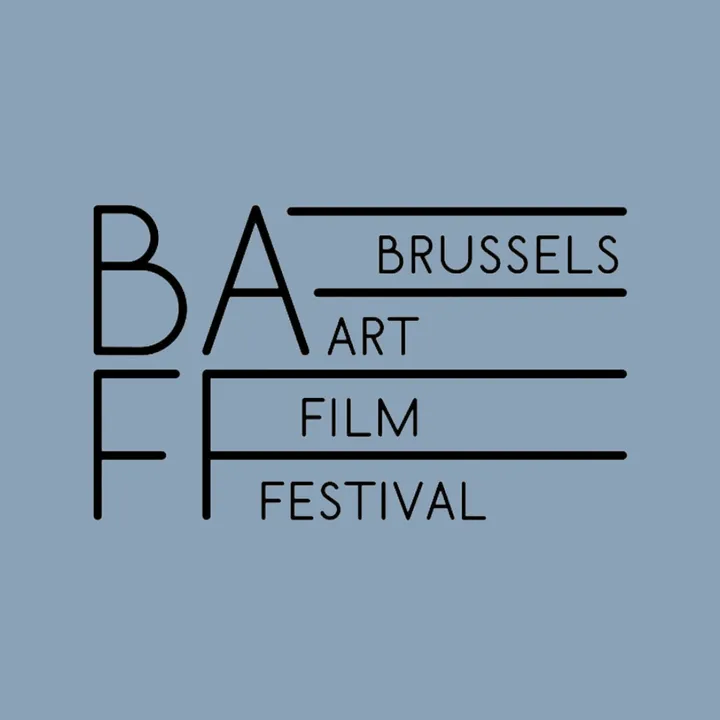 Brussels Art Film Festival !