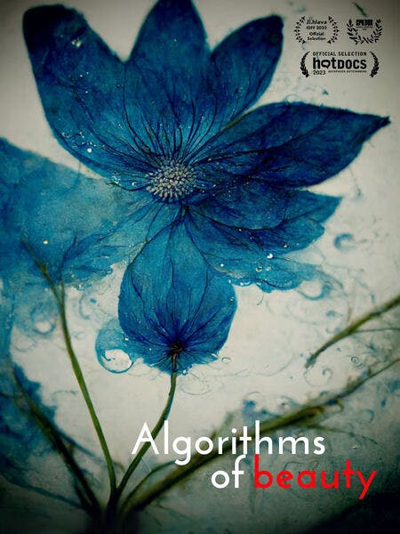 Algorithms of Beauty